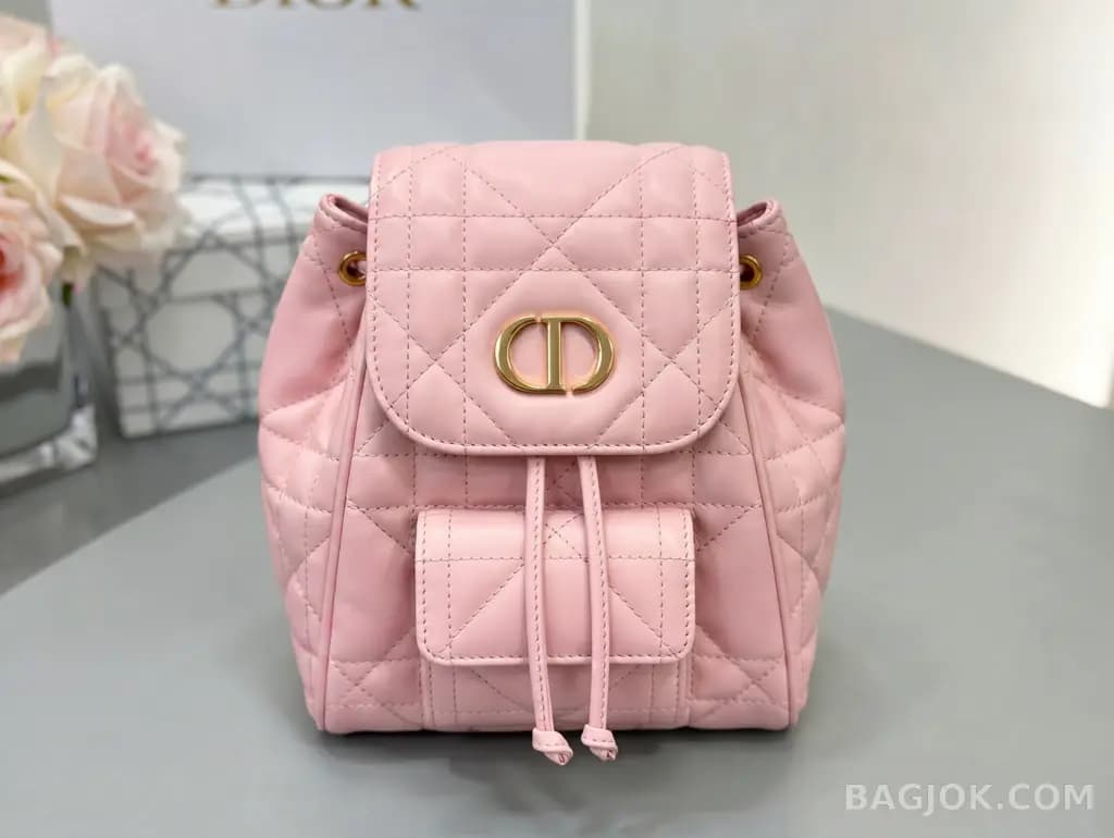 디올 디올 카로 스몰 백팩 상세 이미지