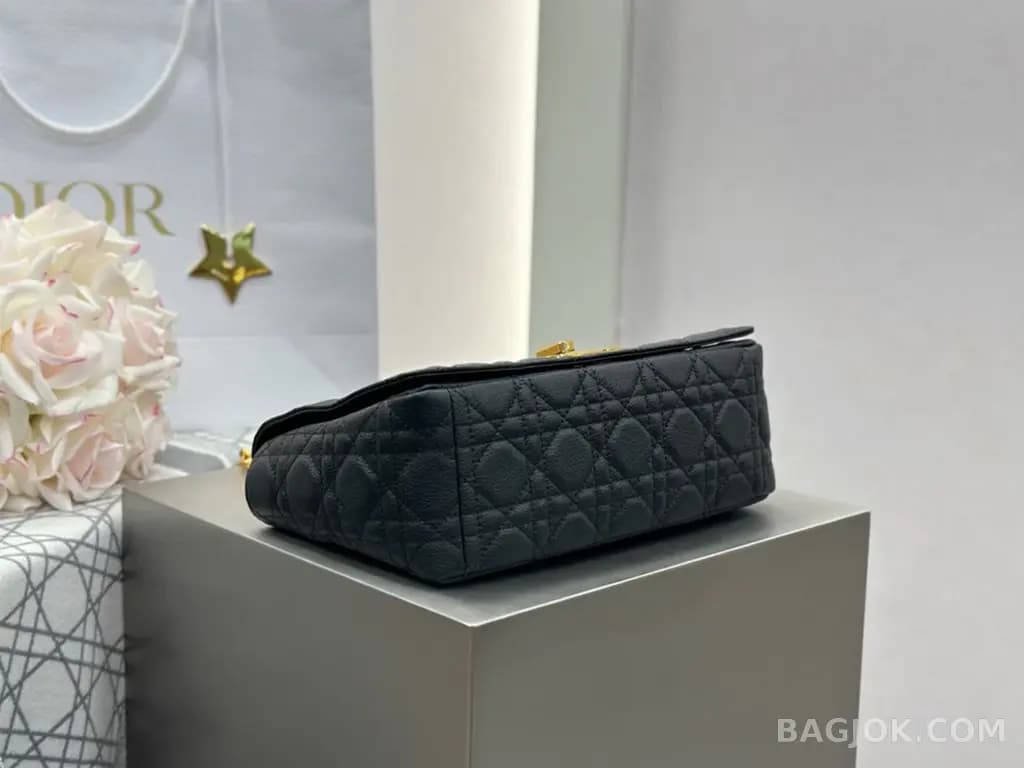 디올 디올 카로백 미디움 상세 이미지