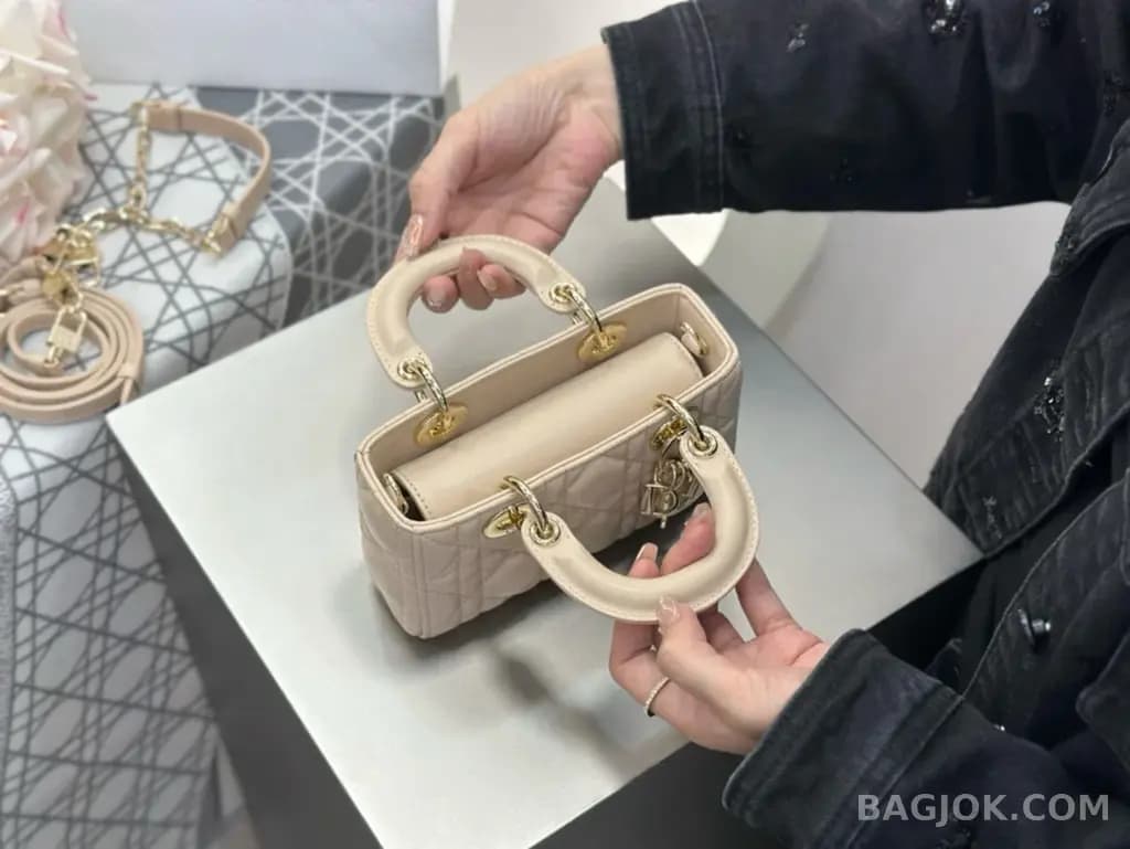 디올 디올 디 조이백 미니 상세 이미지
