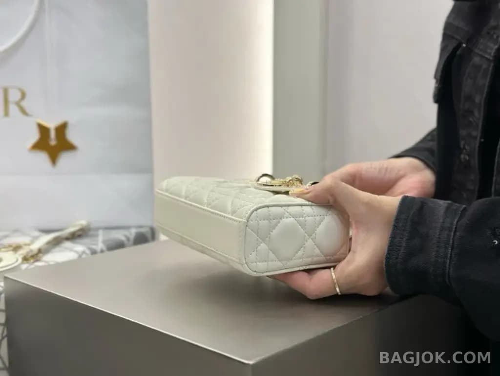 디올 디올 디 조이백 미니 상세 이미지