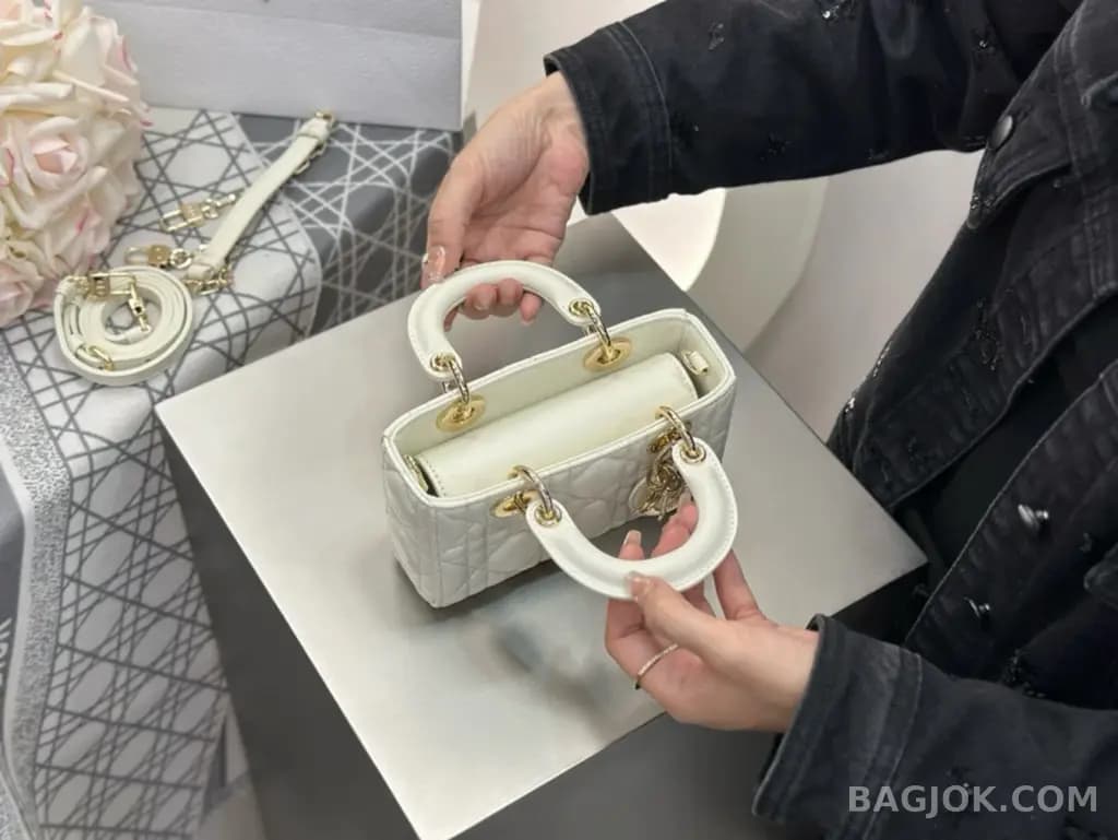디올 디올 디 조이백 미니 상세 이미지