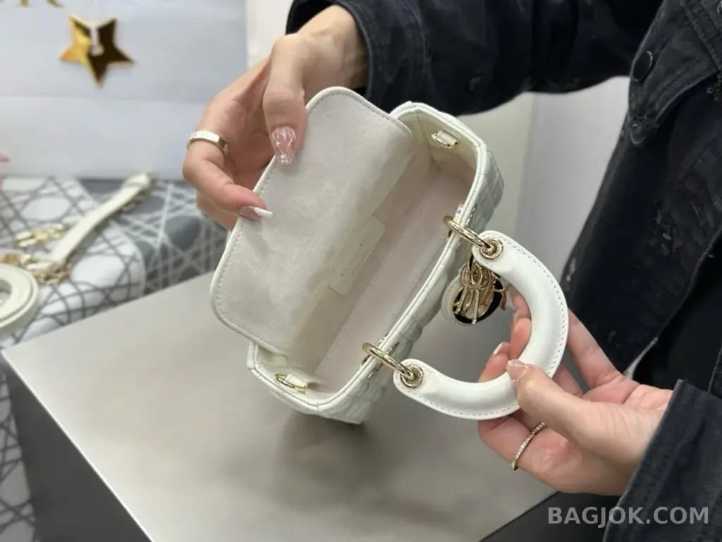 디올 디올 디 조이백 미니 상세 이미지