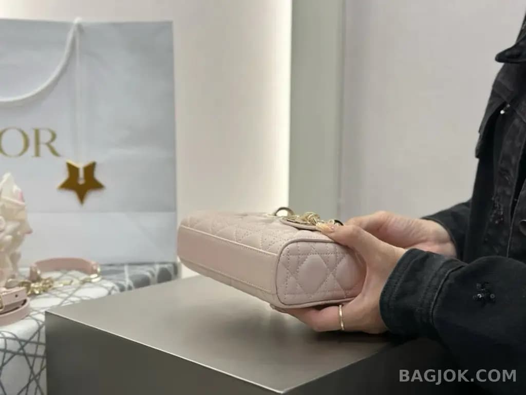 디올 디올 디 조이백 미니 상세 이미지