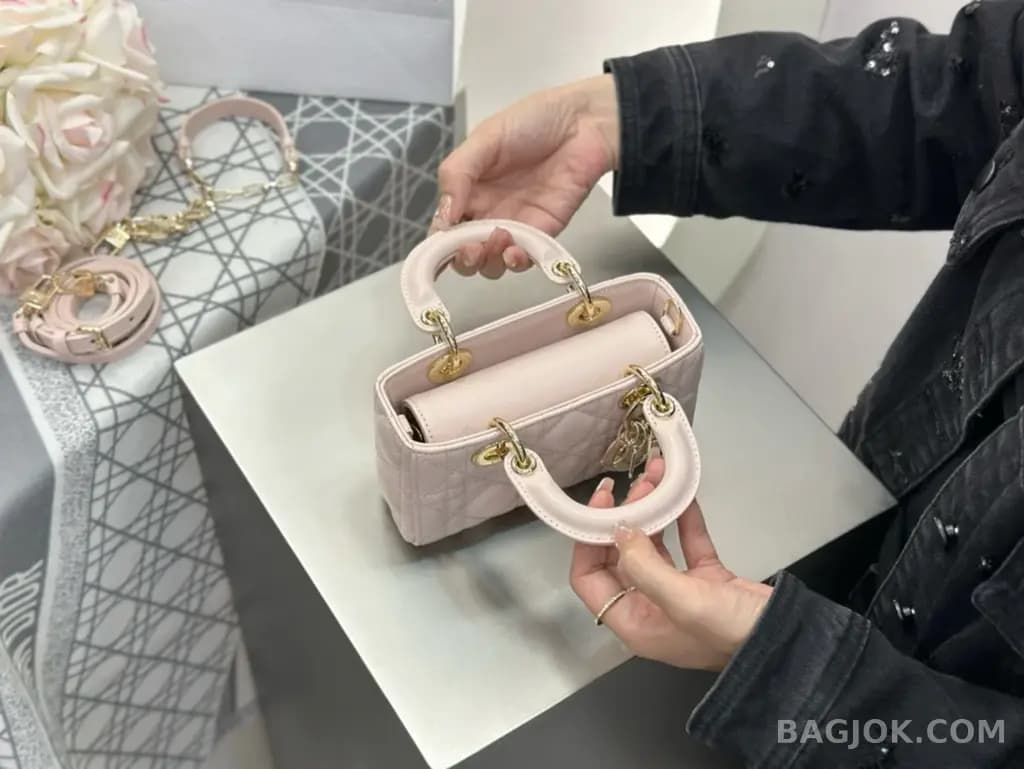 디올 디올 디 조이백 미니 상세 이미지