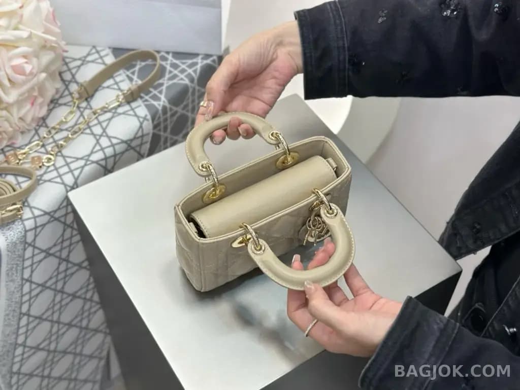 디올 디올 디 조이백 미니 상세 이미지