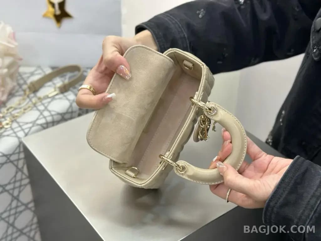 디올 디올 디 조이백 미니 상세 이미지
