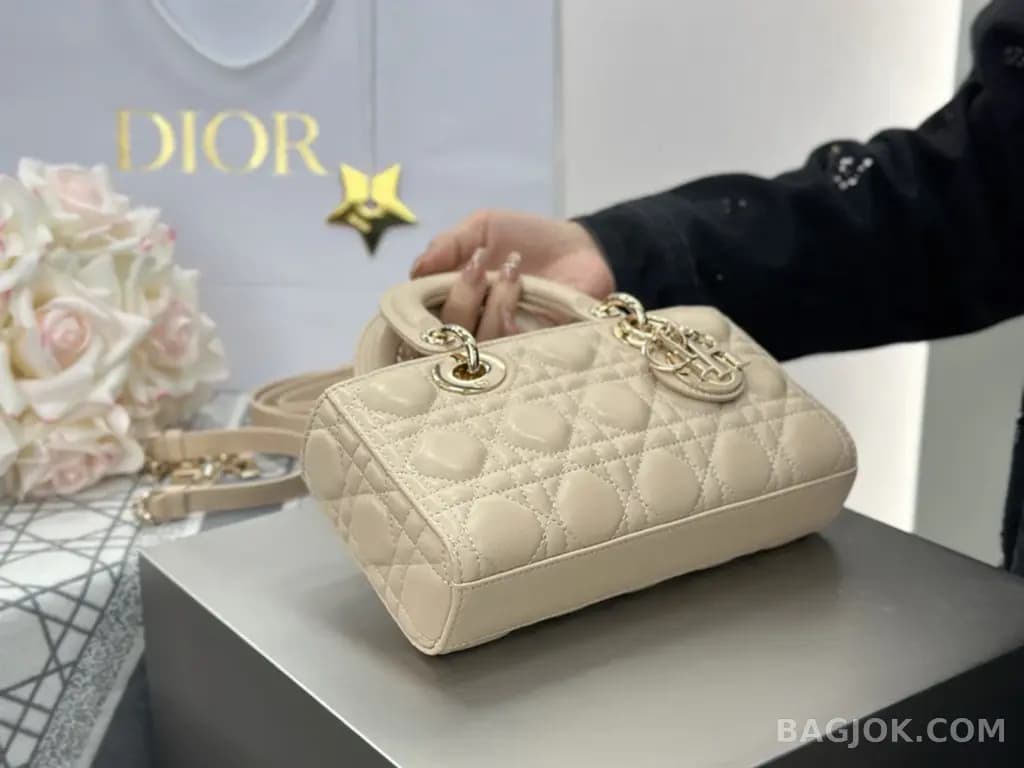 디올 디올 디 조이백 스몰 상세 이미지