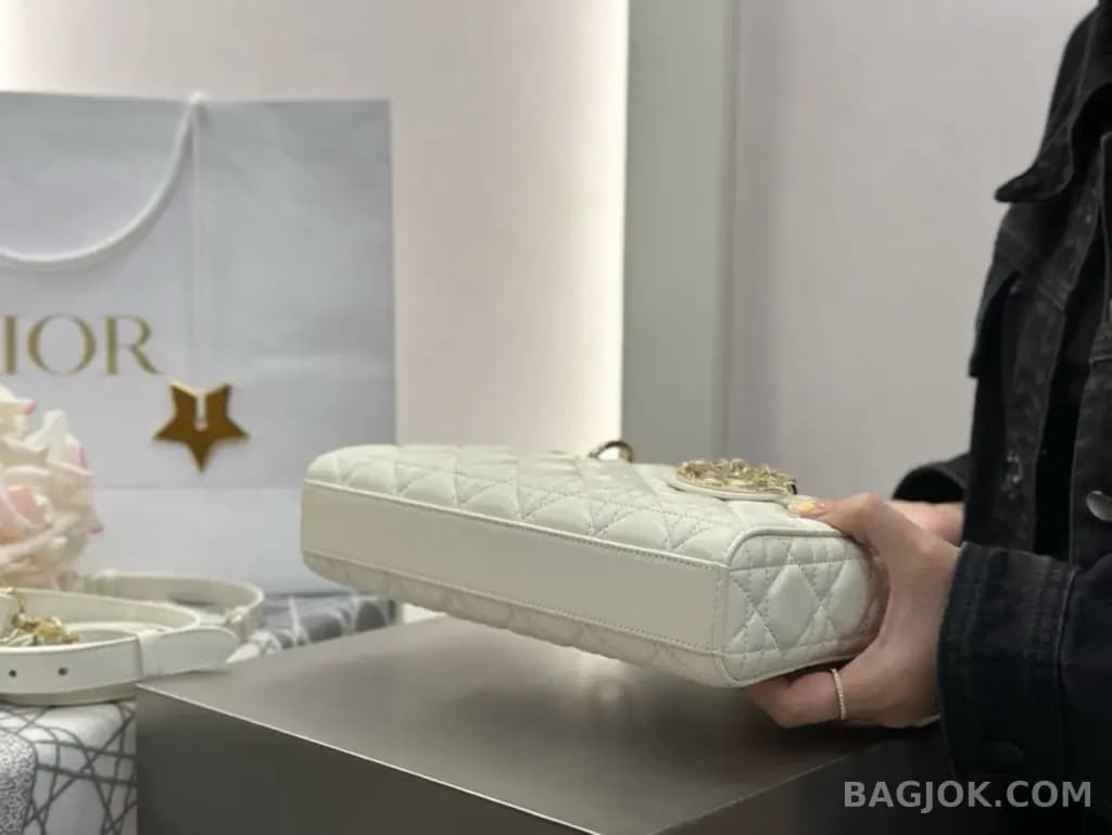 디올 디올 디 조이백 미디움 상세 이미지