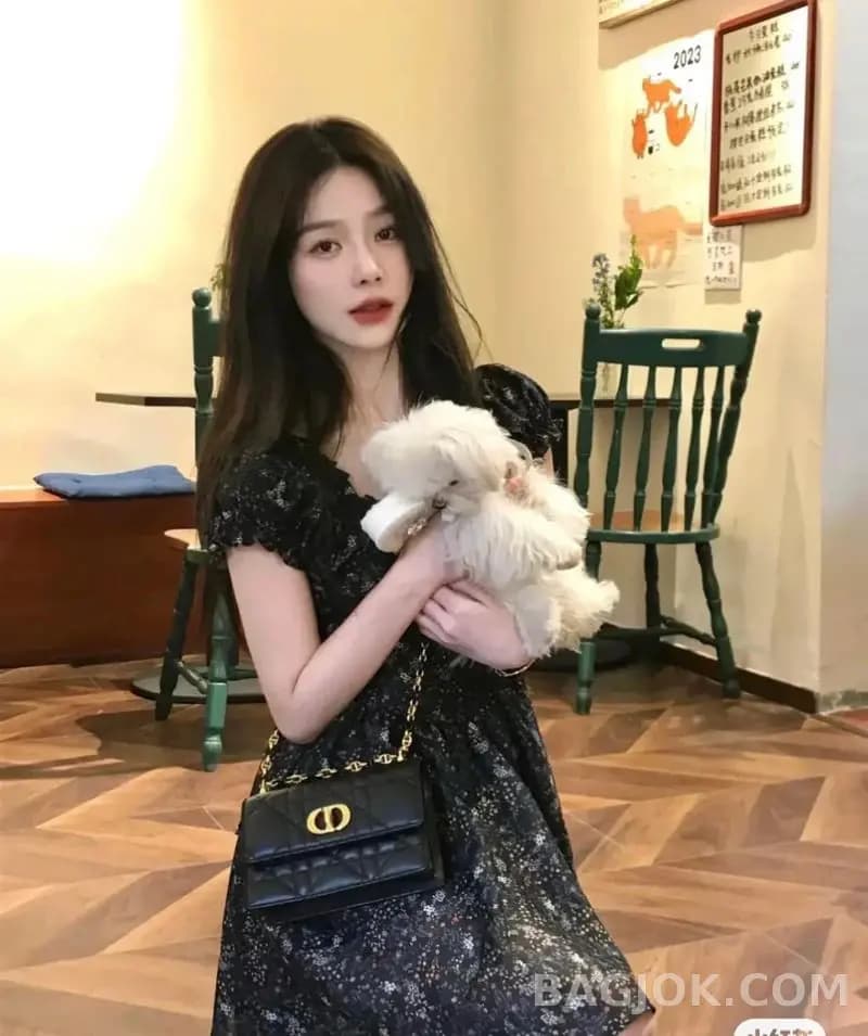 디올 디올 미스 카로 미니백 상세 이미지