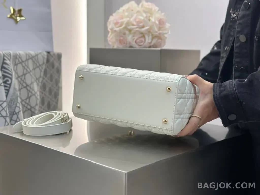 디올 디올 레이디백 미디움 (램스킨) 상세 이미지