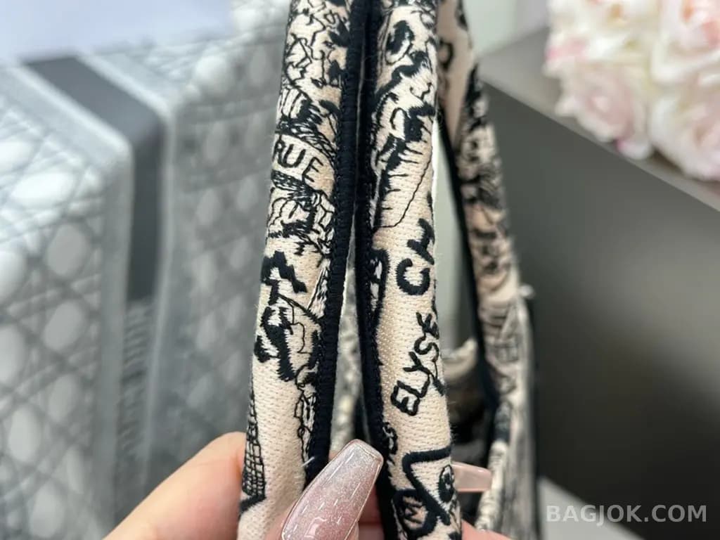 디올 디올 플랜 드 파리 네이비 자수 북 토트백 미디움 상세 이미지