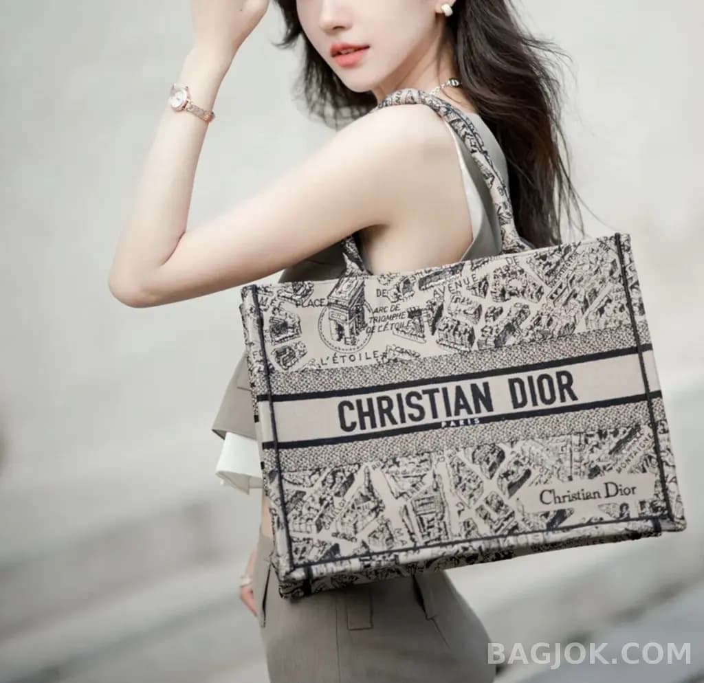 디올 디올 플랜 드 파리 네이비 자수 북 토트백 미디움 상세 이미지