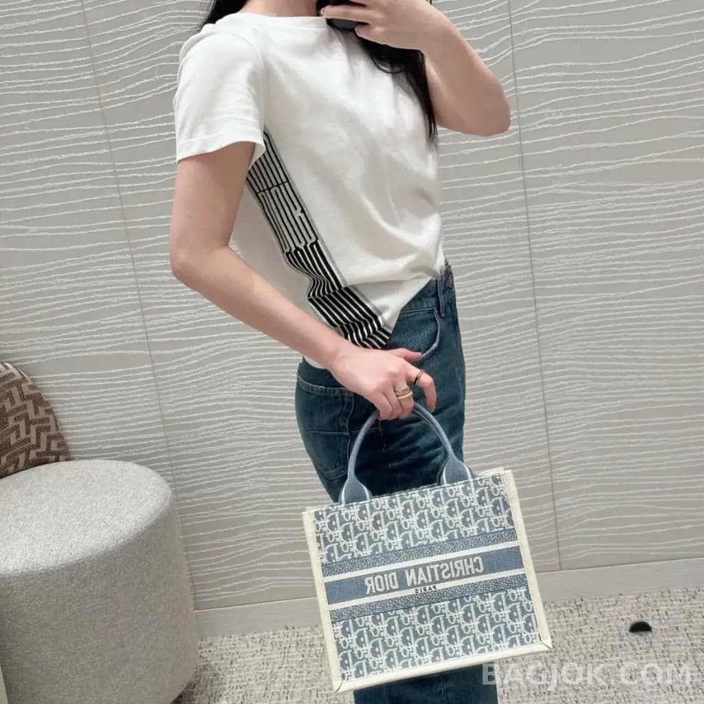 디올 디올 오블리크 샴브레이 북 토트백 스몰 상세 이미지